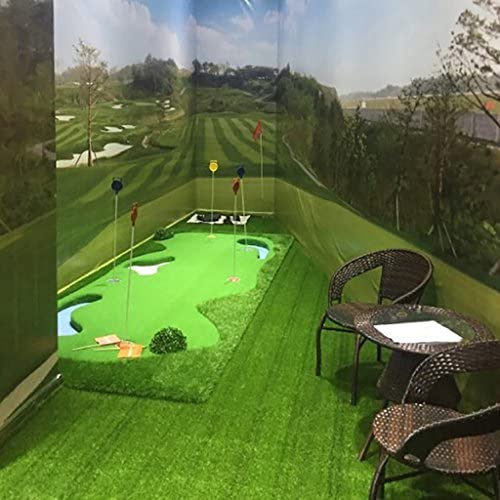 ZHEWEN Golf Putting Practice Mat Waters Putt Practice Own Slope Professional Section, 1.5 * 3.8m ZHEWEN Golf Putting Practice Mat Waters Putt Practice Own Slope Professional Section, 1.5 * 3.8m